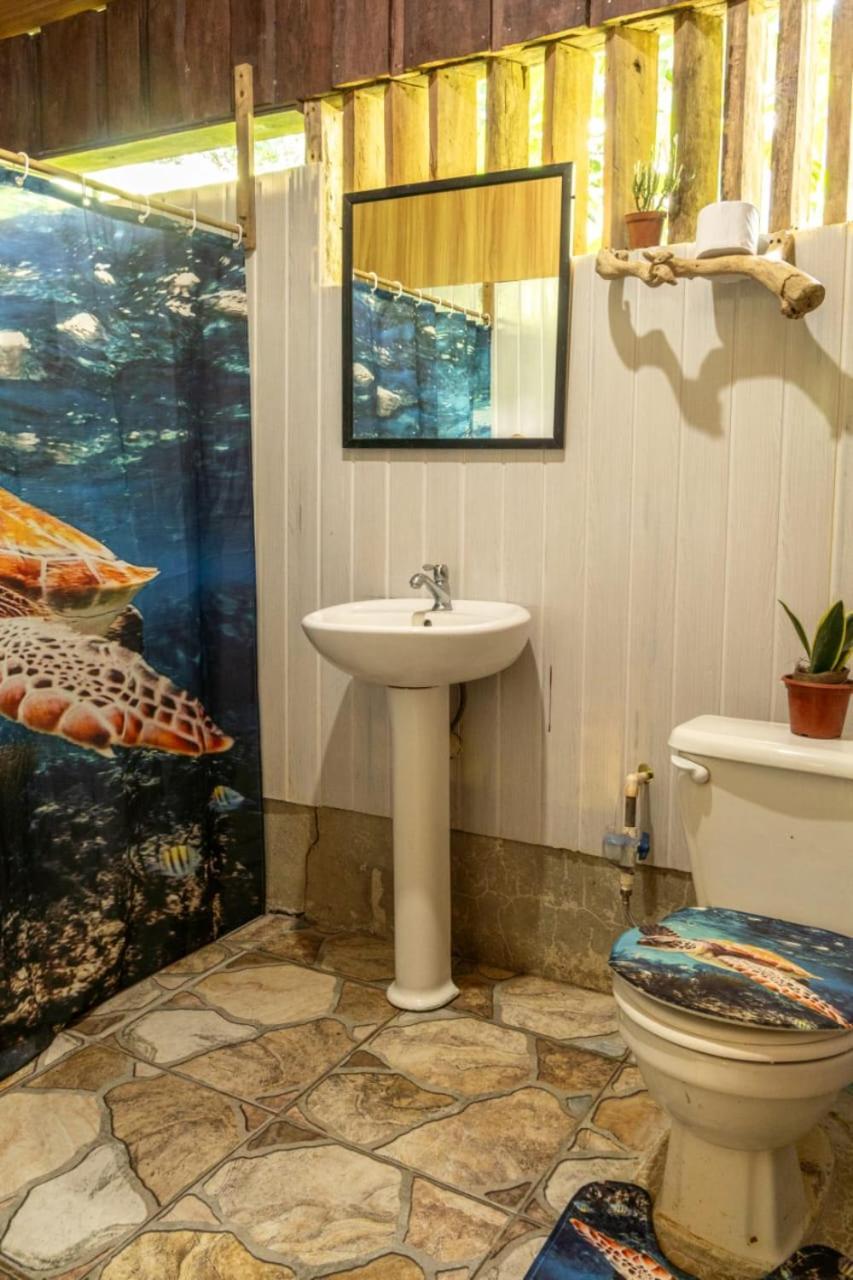 Los Paniquines Ecolodge Drakes Bay Eksteriør bilde
